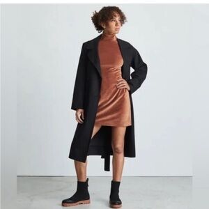Everlane Velour Mini Dress